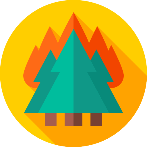 Forest fire